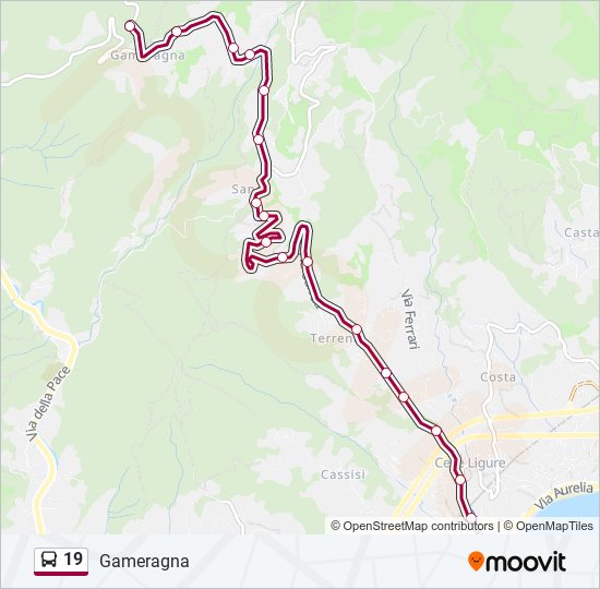 19 bus Line Map