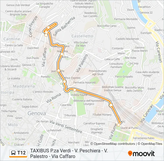 T12 Bus Line Map