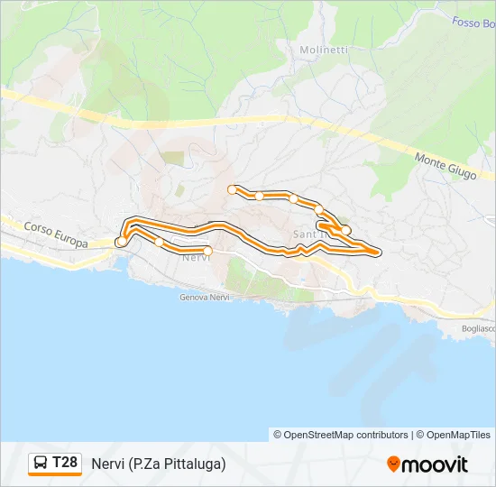 T28 Bus Line Map