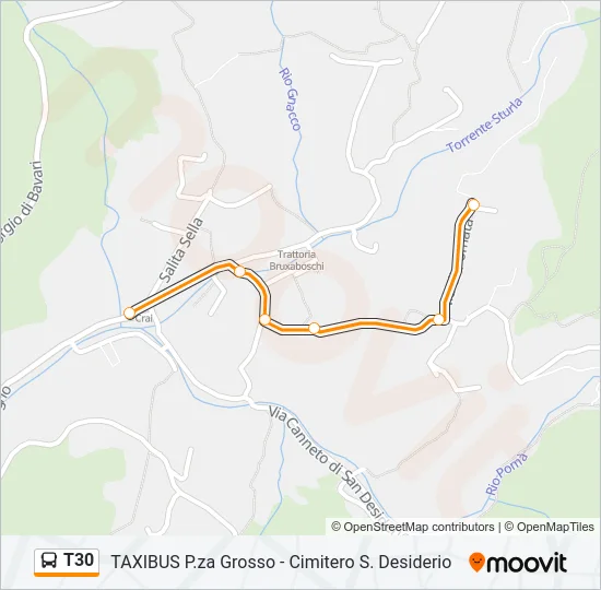 T30 Bus Line Map