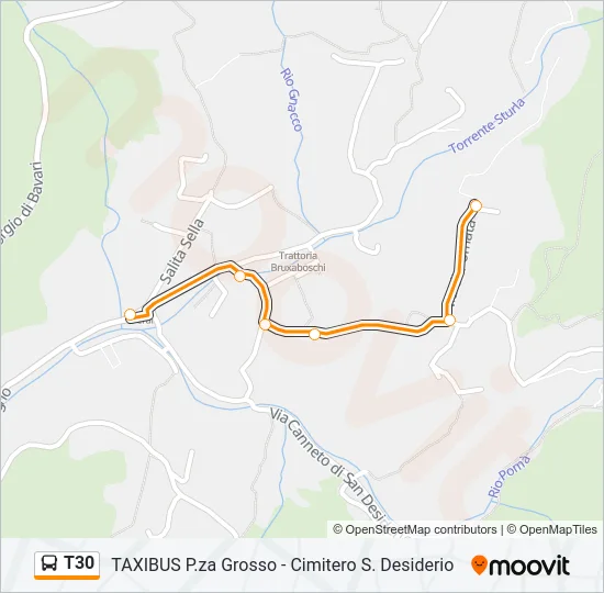T30 Bus Line Map