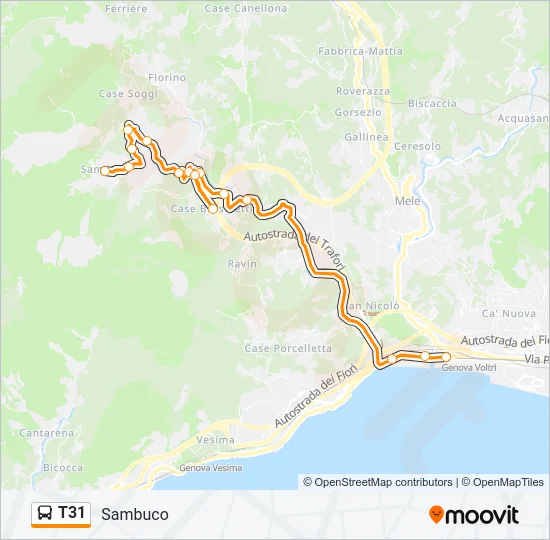 T31 Bus Line Map