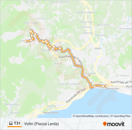 T31 Bus Line Map
