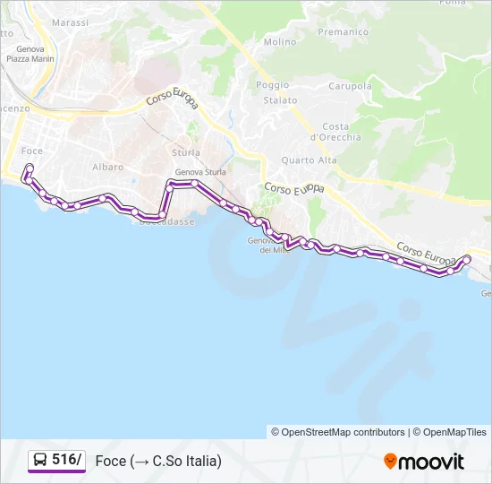 516/ Bus Line Map