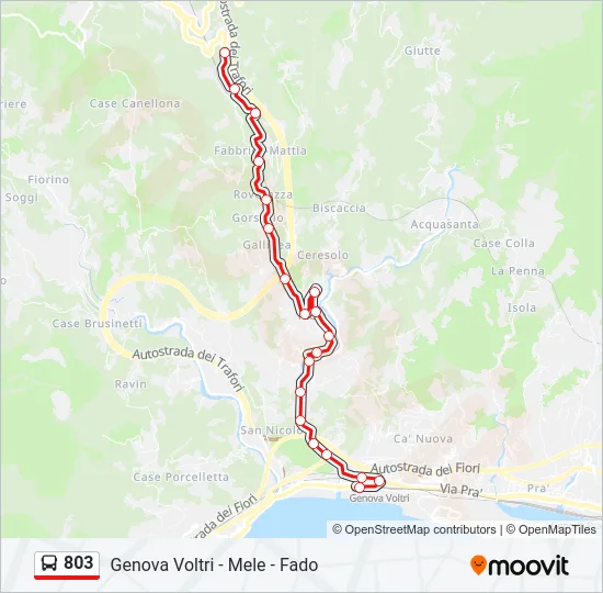 803 Bus Line Map