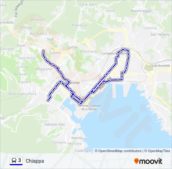 3 Bus Line Map
