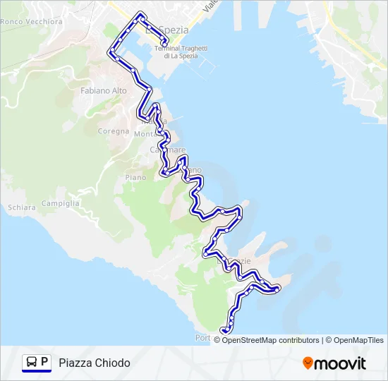 P Bus Line Map