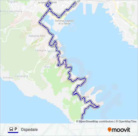 P Bus Line Map