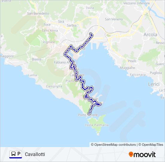 Percorso linea bus P