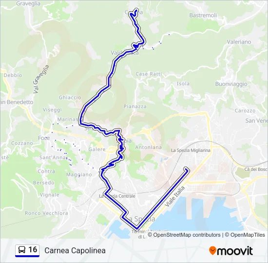 16 Bus Line Map