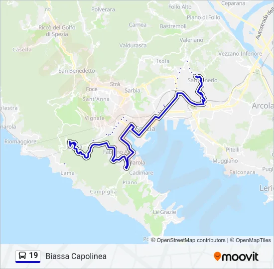 19 Bus Line Map