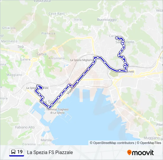 19 Bus Line Map
