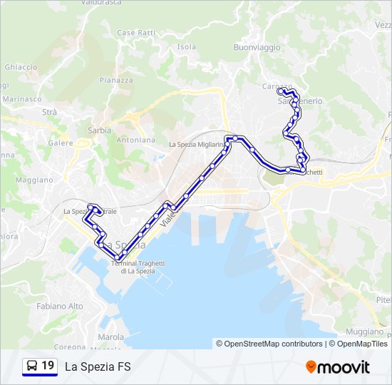 Percorso linea bus 19