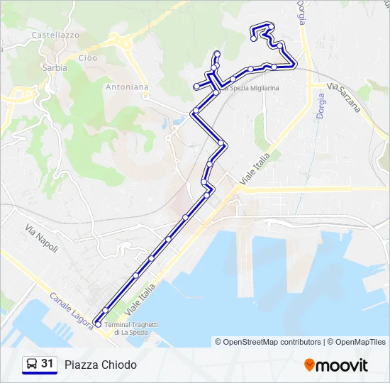 31 Bus Line Map