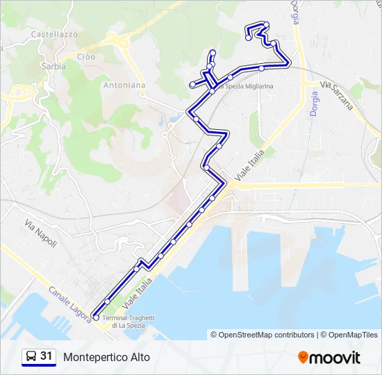 31 Bus Line Map