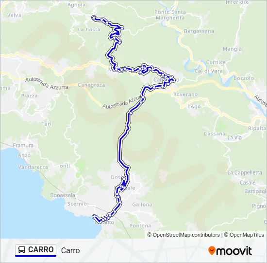 CARRO Bus Line Map