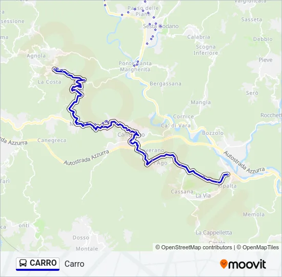 CARRO Bus Line Map