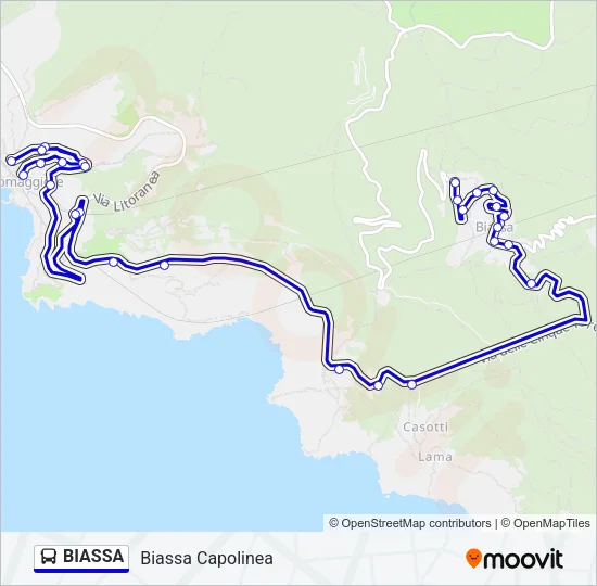 BIASSA Bus Line Map