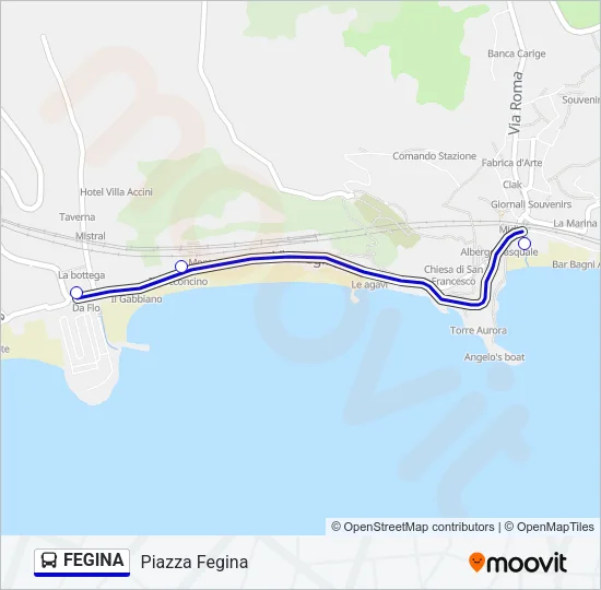 FEGINA Bus Line Map