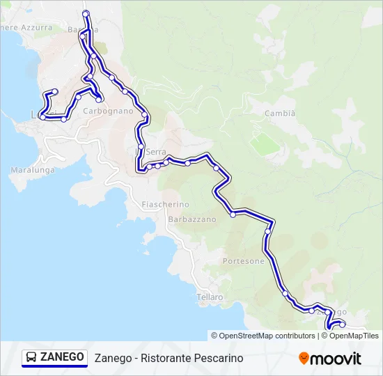 ZANEGO Bus Line Map