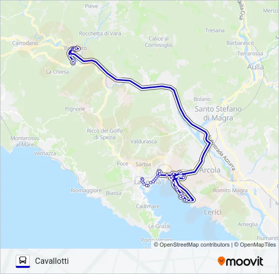 DEPOSITO Bus Line Map