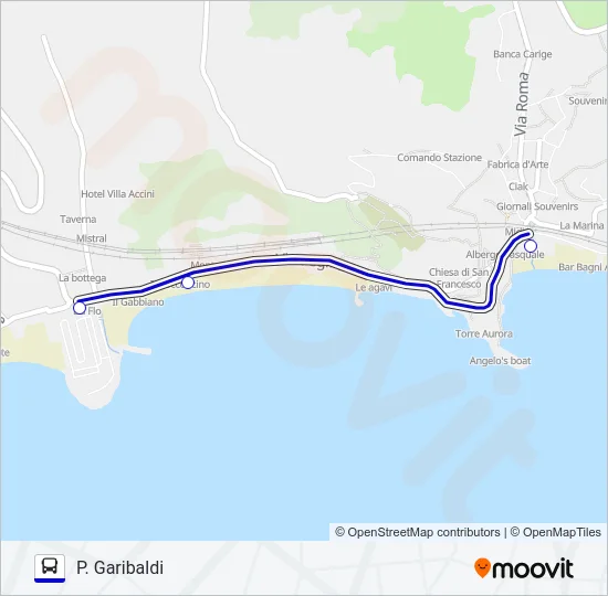 P. GARIBALDI Bus Line Map