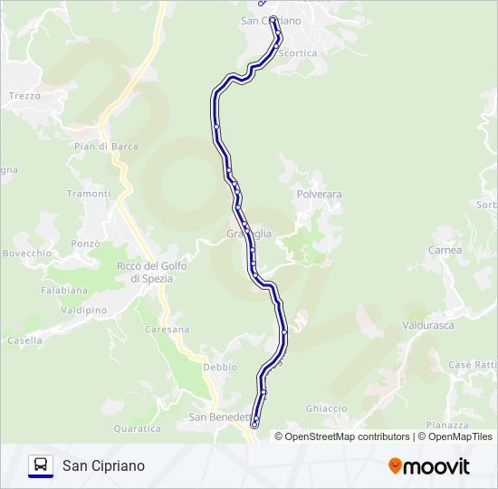 SAN CIPRIANO bus Line Map