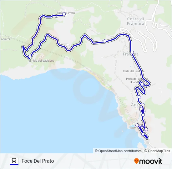 FOCE DEL PRATO Bus Line Map