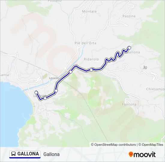 GALLONA Bus Line Map