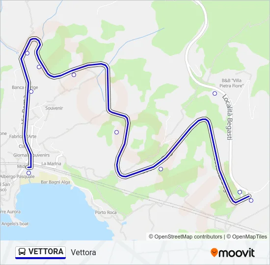 VETTORA Bus Line Map