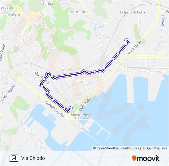 Percorso linea bus VIA CHIODO