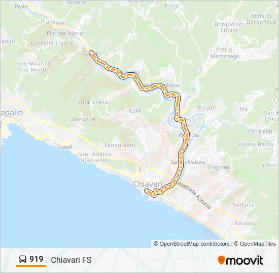 919 Bus Line Map