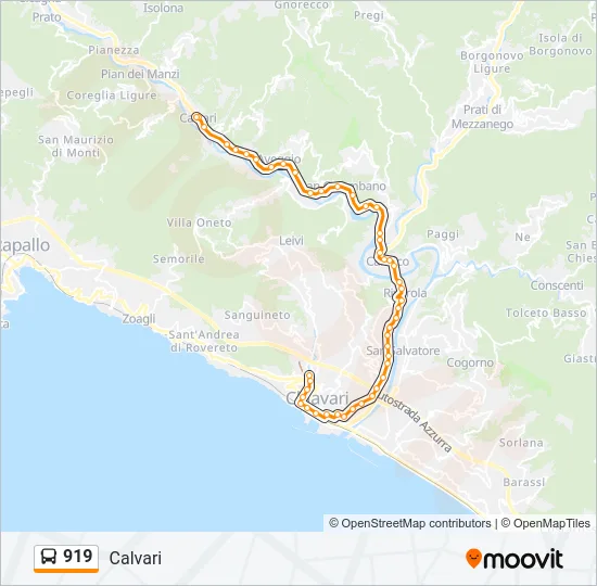 919 Bus Line Map