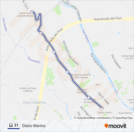 31 bus Line Map