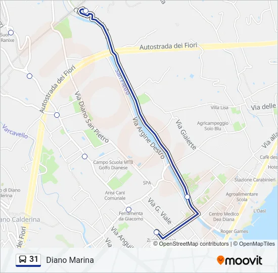 31 Bus Line Map