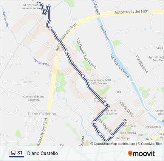 31 Bus Line Map
