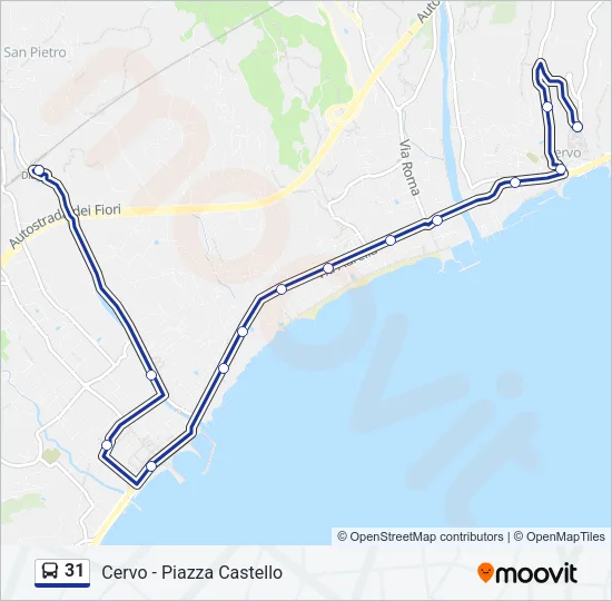 31 Bus Line Map