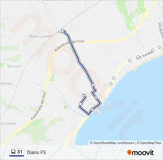 31 Bus Line Map