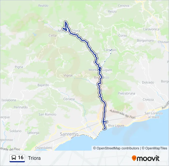 16 Bus Line Map