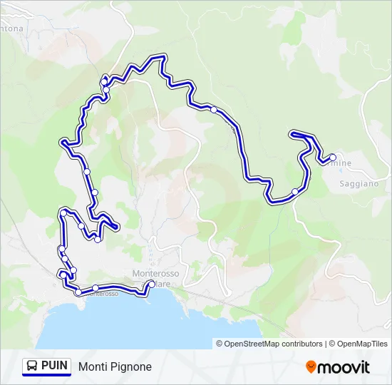 PUIN Bus Line Map