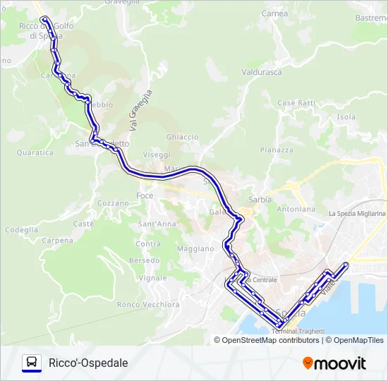 RICCO'-OSPEDALE Bus Line Map