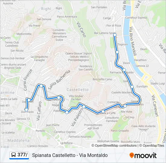 377/ Bus Line Map