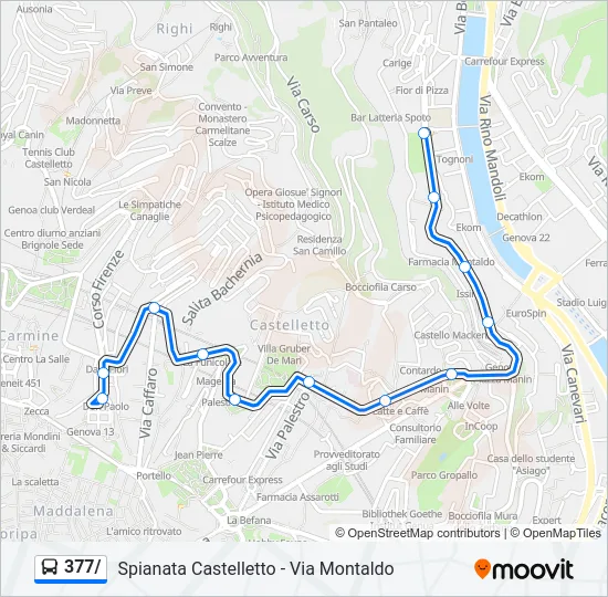 377/ Bus Line Map