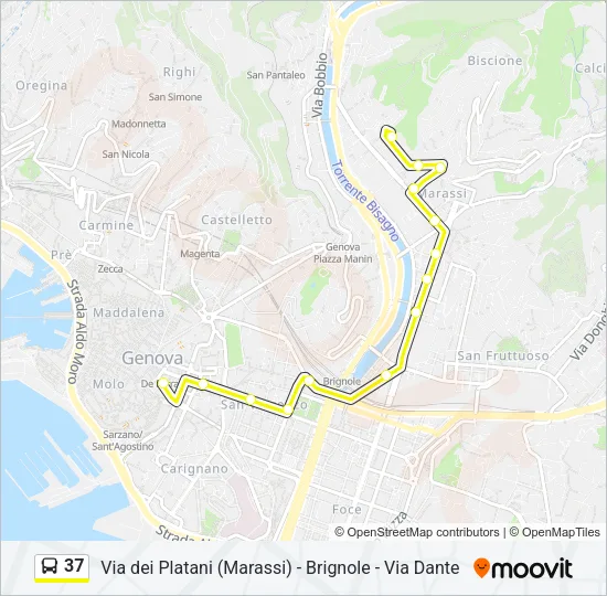 37 Bus Line Map