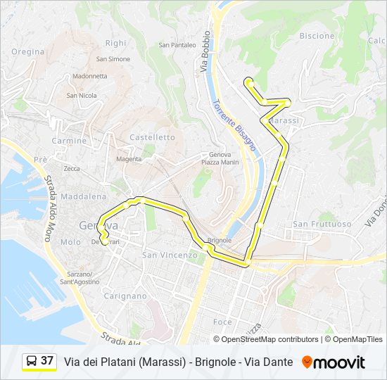 Percorso linea bus 37