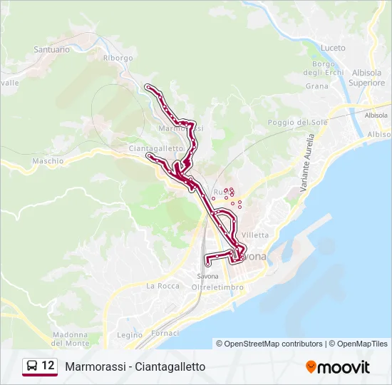 12 Bus Line Map