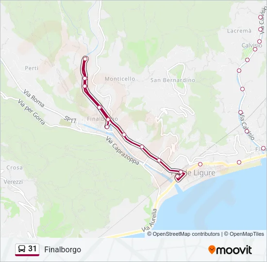 31 Bus Line Map