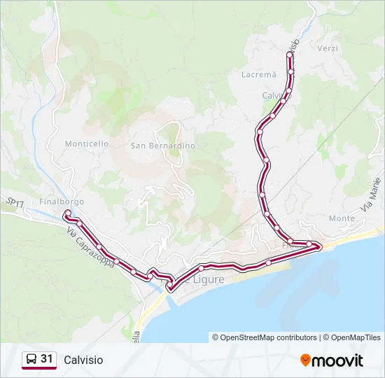 31 Bus Line Map