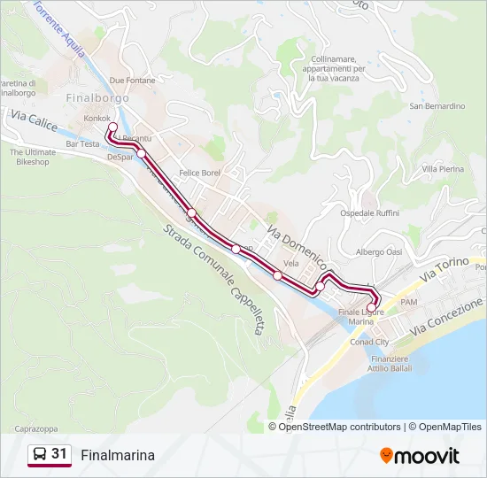 31 Bus Line Map