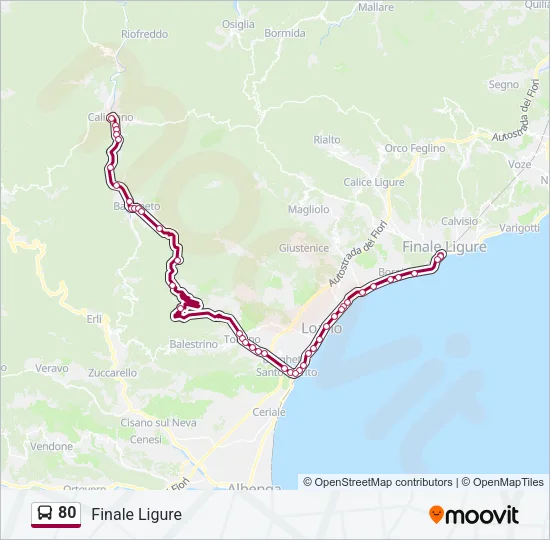 80 Bus Line Map